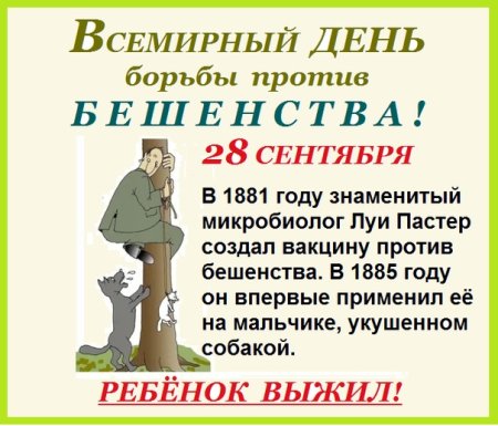 Всемирный день борьбы с бешенством