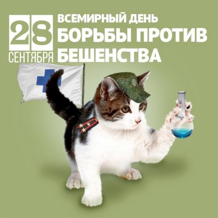 Всемирный день против бешенства