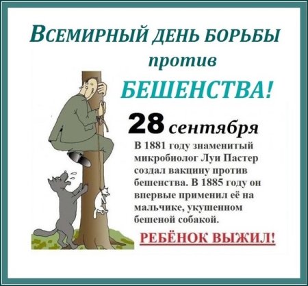 Всемирный день борьбы с бешенством