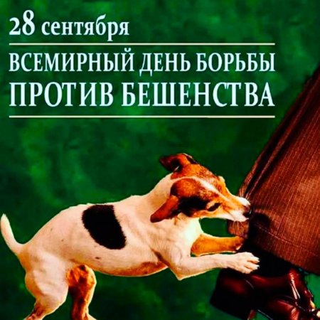 Всемирный день борьбы против бешенства