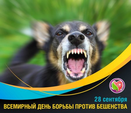 Всемирный день бешенства