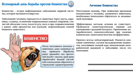 Бешенство после укуса собаки