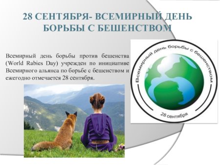 День борьбы против бешенства