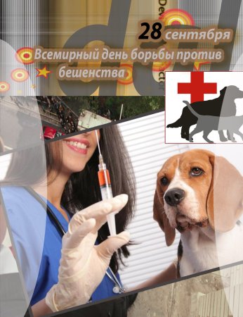 Всемирный день против бешенства
