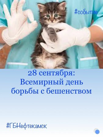 Всемирный день борьбы с бешенством