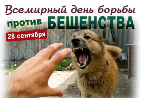 28 Сентября Всемирный день борьбы против бешенства