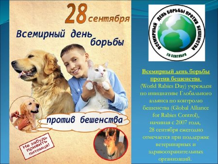 Всемирный день бешенства
