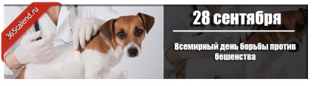 День против бешенства