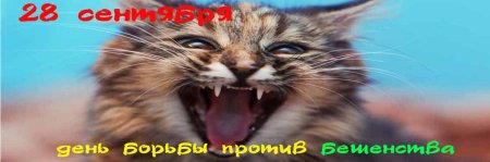 День борьбы с бешенством картинки