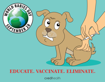 Борьба против бешенства рисунок