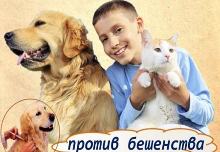 День борьбы против бешенства