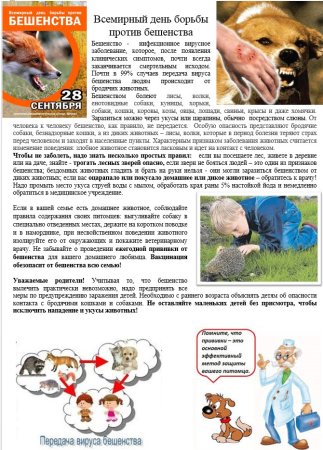 Прививки после укуса собаки