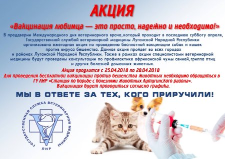 Вакцинация котят