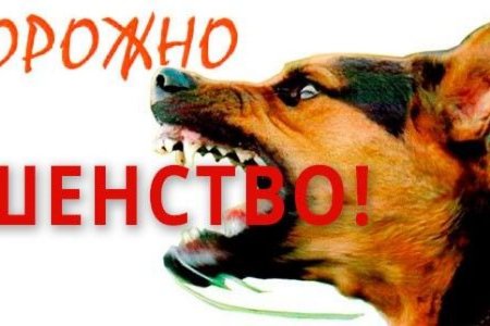 Осторожно бешеная собака