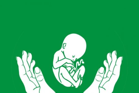 Охрана материнства и детства