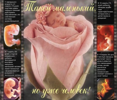 Стих нерожденного ребенка