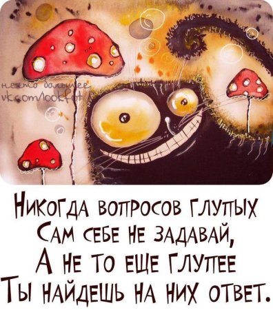 День глупых вопросов