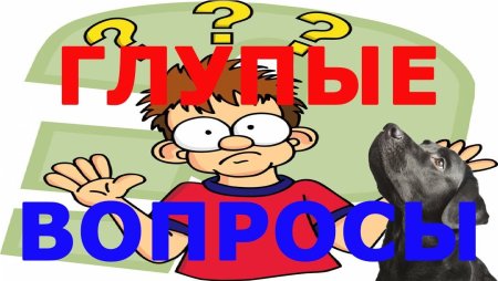 День глупых вопросов 28 сентября