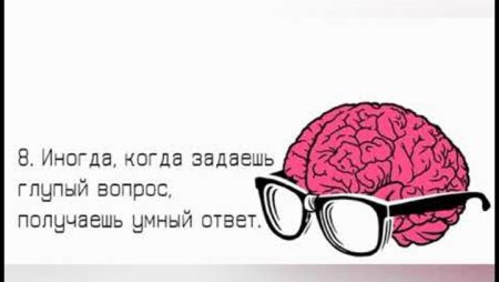 День глупых вопросов