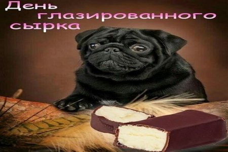 День глазированного сырка Мем