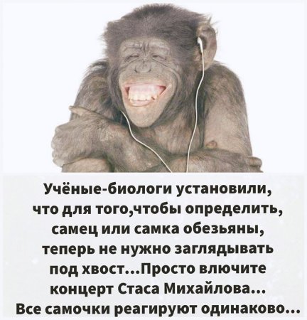 День глупых вопросов 28 сентября