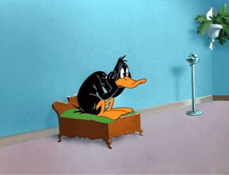 Веселые гифки