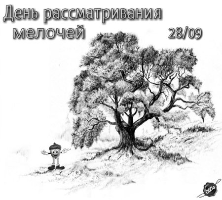 День рассматривания мелочей