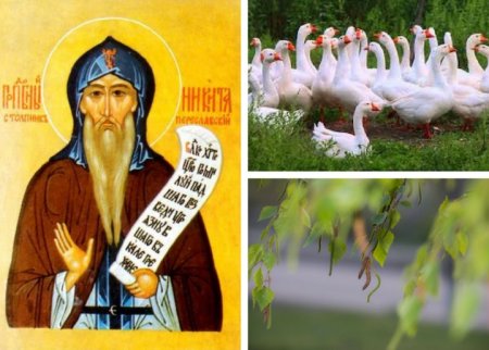 Никита гусятник 28 сентября