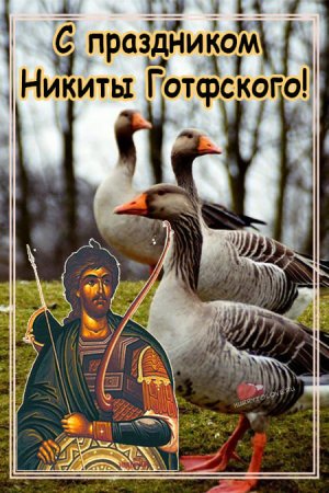 Никита гусятник 28 сентября