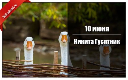 Никита гусятник 10 июня