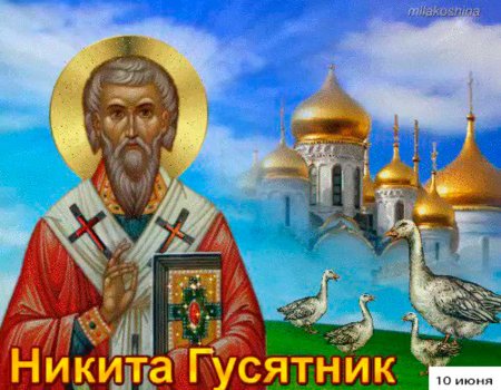 Народный праздник Никита гусятник