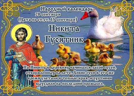 Народный праздник Никита гусятник