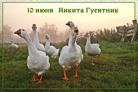 Никита гусятник (Полудница)