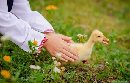 Никита гусятник 28 сентября