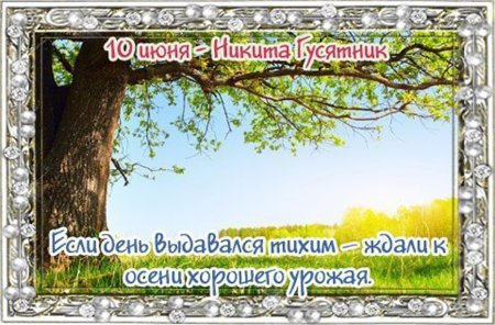 Народный праздник Никита гусятник