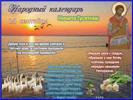 Народный праздник Никита гусятник