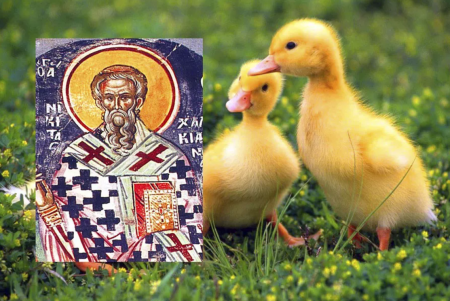 Никита гусятник