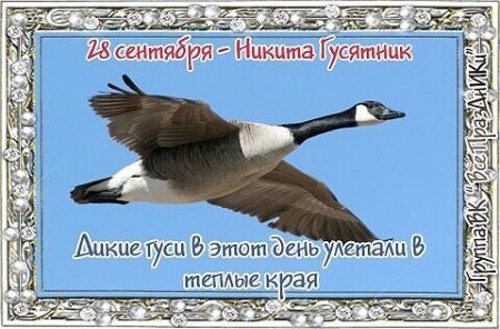 Никита гусятник 28 сентября народный календарь