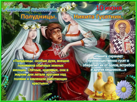 Народный календарь Никита гусятник