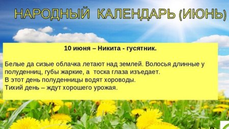 Народный праздник Никита гусятник