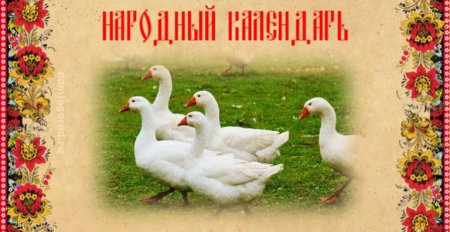 Народный праздник Никита гусятник