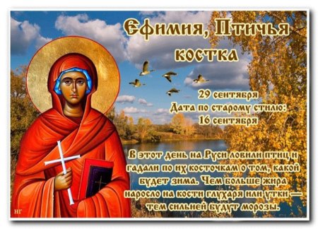 Народный календарь 29 сентября Ефимия Птичья Костка