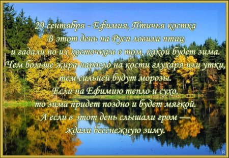 Ефимия Птичья Костка 29 сентября