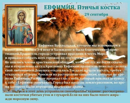 Народный календарь 29 сентября Ефимия Птичья Костка