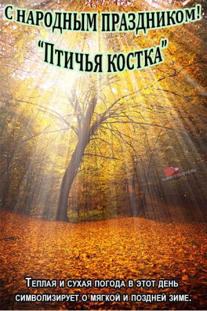 Ефимия Птичья Костка 29 сентября