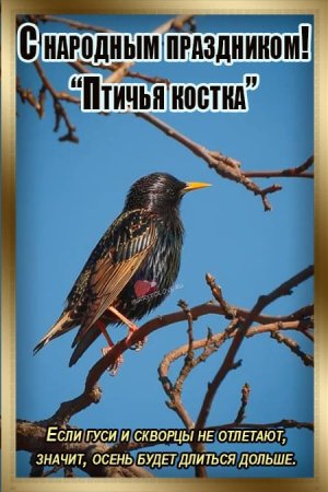 Ефимия Птичья Костка 29 сентября праздник