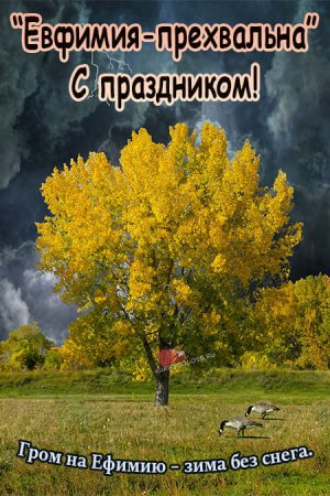 Ефимия Птичья Костка картинки