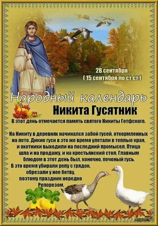 Народный праздник Никита гусятник