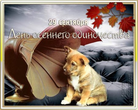 День осеннего одиночества 29 сентября открытки