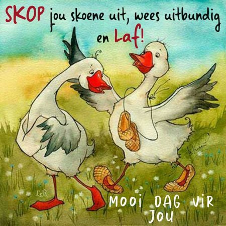 Виктория Кирдий Гусь